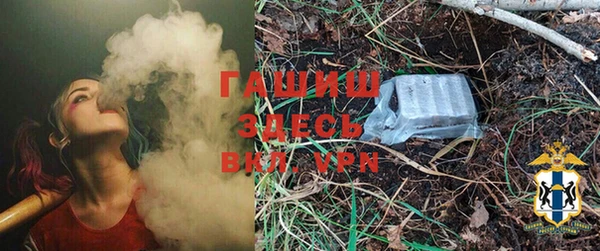 молекула духа Алексеевка