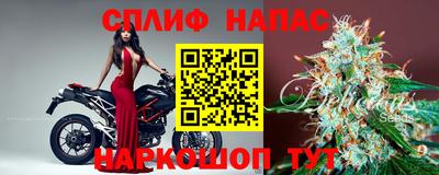гидра Малоярославец