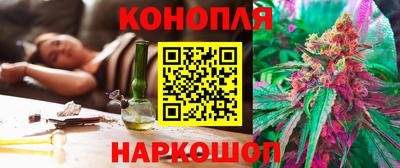 гидра Малоярославец