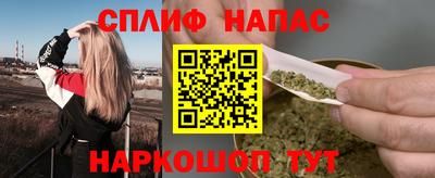 дживик Моздок