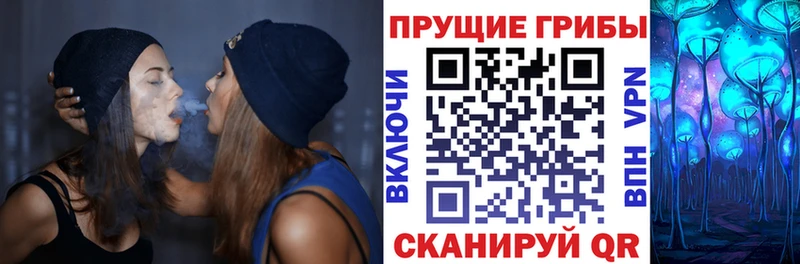 Псилоцибиновые грибы прущие грибы Черемхово