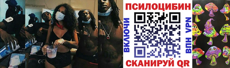 Псилоцибиновые грибы Cubensis  наркотики  Черемхово 