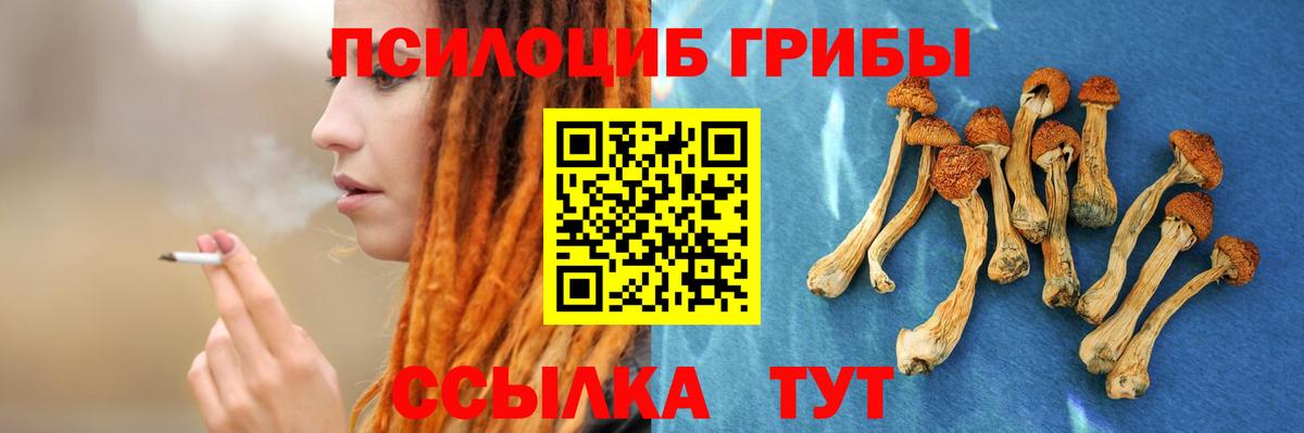 Черемхово  Галлюциногенные грибы Magic Shrooms  Псилоцибиновые грибы GOLDEN TEACHER  цена   Вход с VPN 